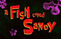 A Fish Called Sandy