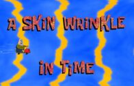 A Skin Wrinkle In Time