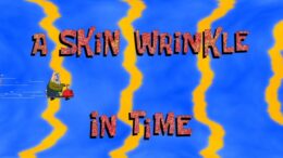 A Skin Wrinkle In Time