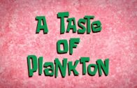 A Taste of Plankton
