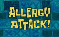 Allergy Attack