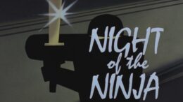 Batman-The-Animated-Series-Night-of-the-Ninja