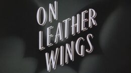 Batman-The-Animated-Series-On-Leather-Wings