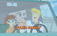 Poodle Justice Poodle Justice