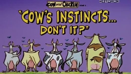 Cow’s Instincts… Don’t It?