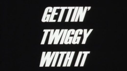 Gettin’ Twiggy With It