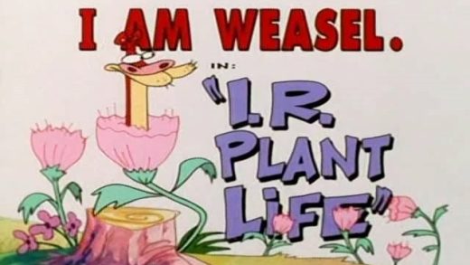 I.R. Plant Life