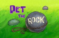 Pet the Rock