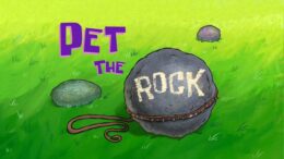 Pet the Rock