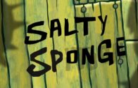 Salty Sponge
