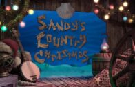 Sandy’s Country Christmas