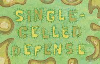 Single-Celled Defense