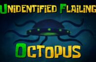 Unidentified Flailing Octopus