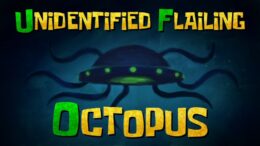 Unidentified Flailing Octopus