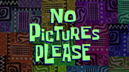 no-pictures-please