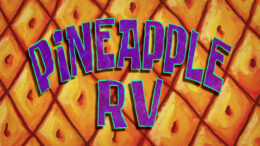 pineapple-rv